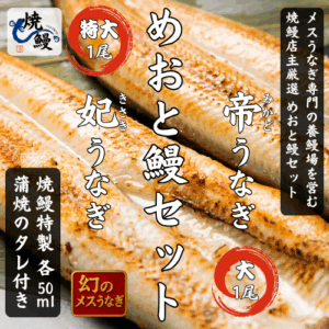 焼鰻特選　めおと鰻セット（たれ付き）